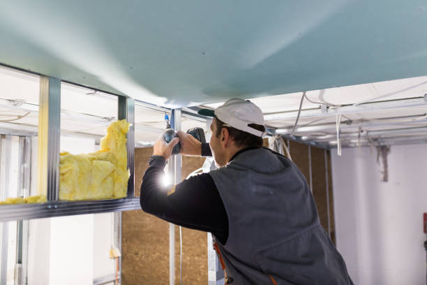 Best Geographic-Specific Insulation Services in Chillicothe, OH