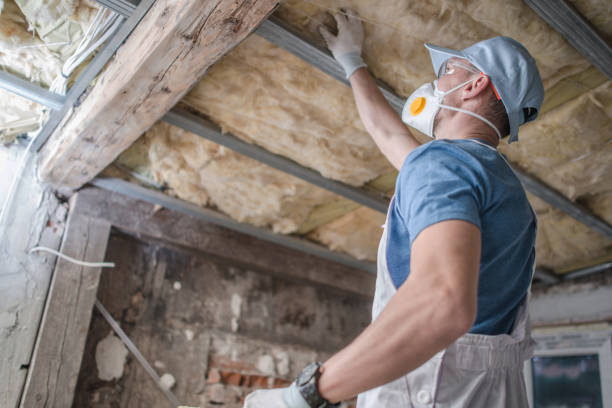 Best Residential Insulation in Chillicothe, OH