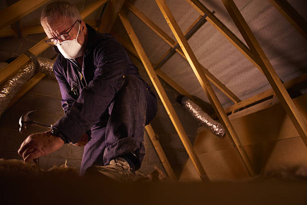 Best Cellulose Insulation in Chillicothe, OH